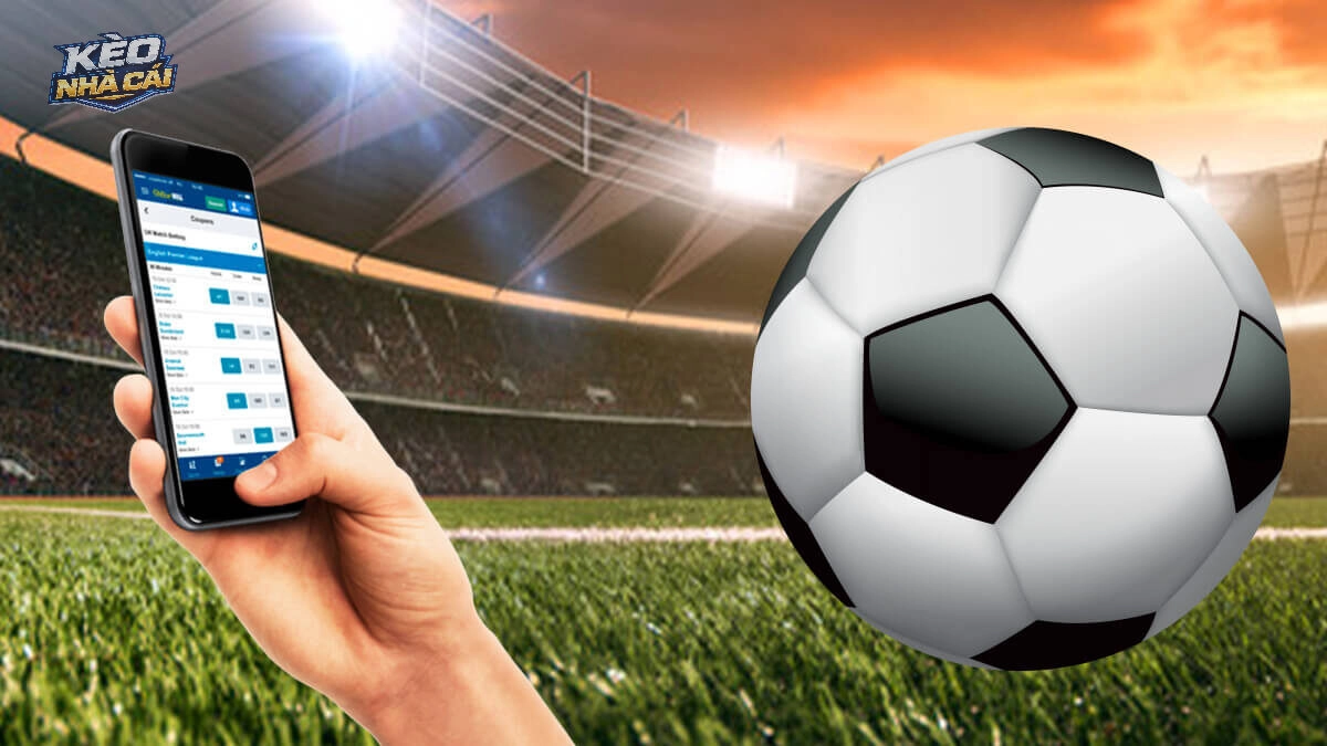 Theo dõi các giải đấu hàng đầu để có kinh nghiệm