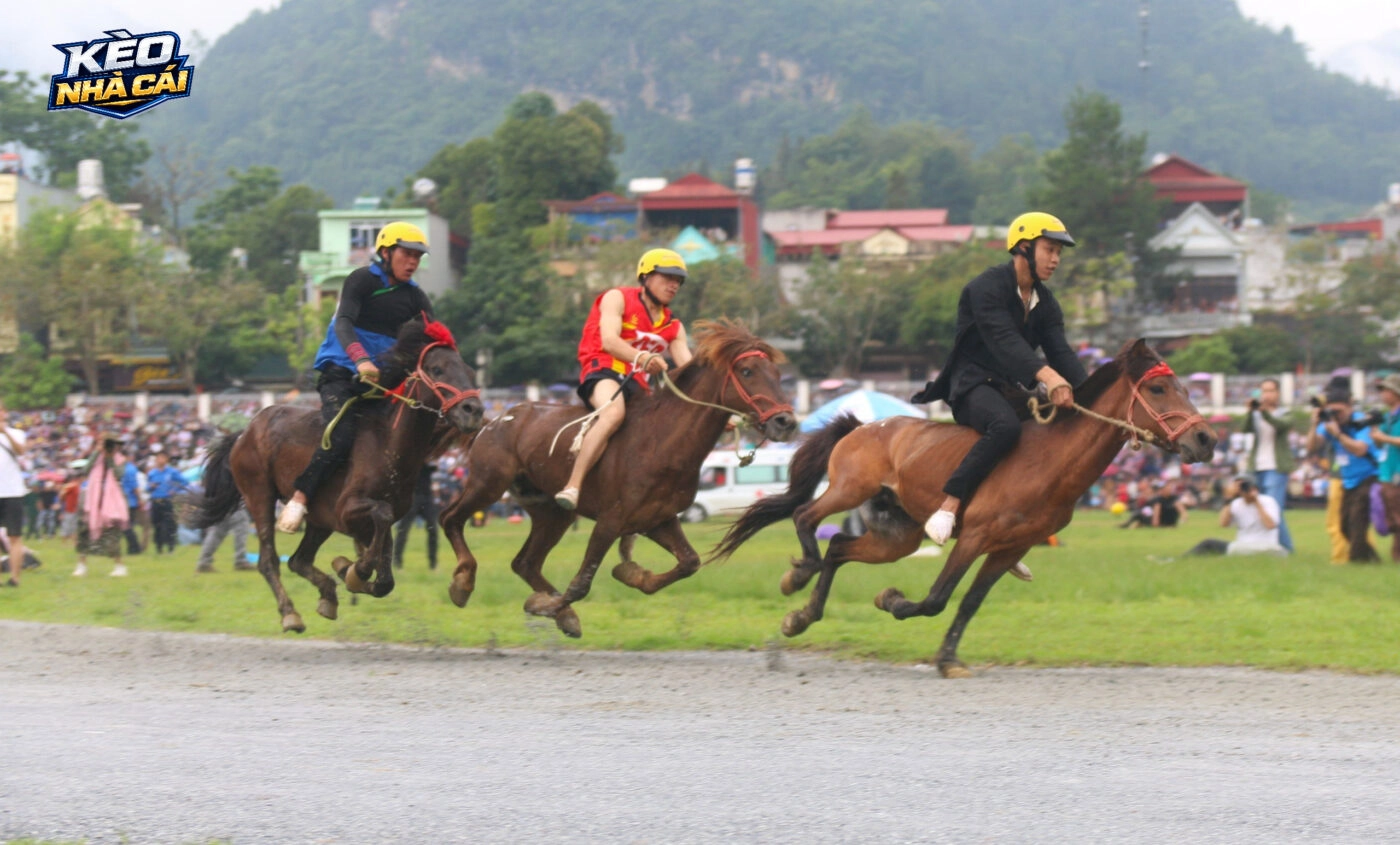 Lưu ý khi tham gia chơi